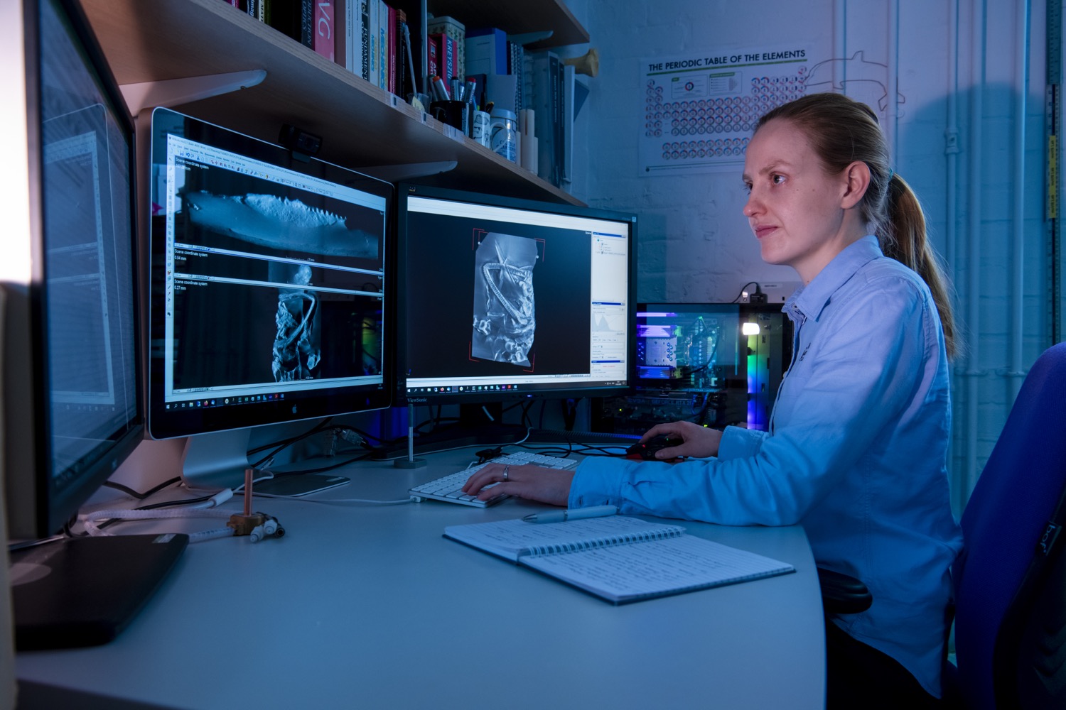 Dr Kathryn Rankin looking at CT images on a computer screen